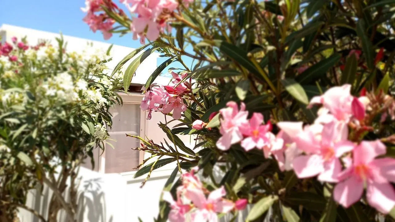 Apartamento Little Loft Playablanca Playa Blanca   Playa Blanca (Lanzarote)